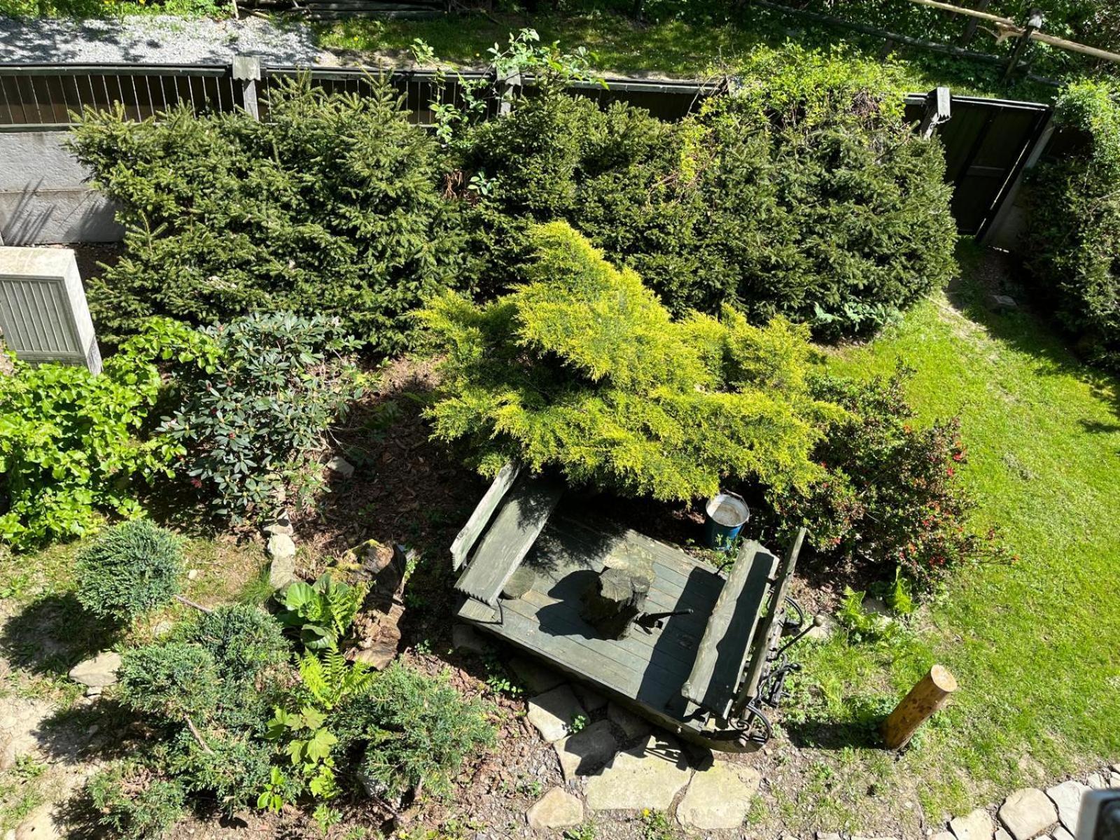 Pod Magnolia